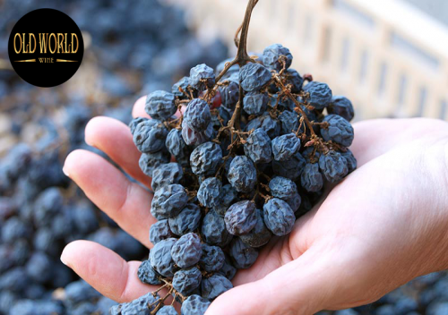 Amarone - Rượu vang đỏ di sản nước Ý